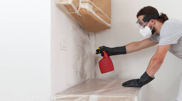 Professional Attic Mold Removal technician working in Columbia, KY