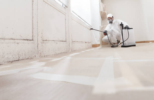 24/7 Emergency Attic Mold Removal experts in Columbia, KY