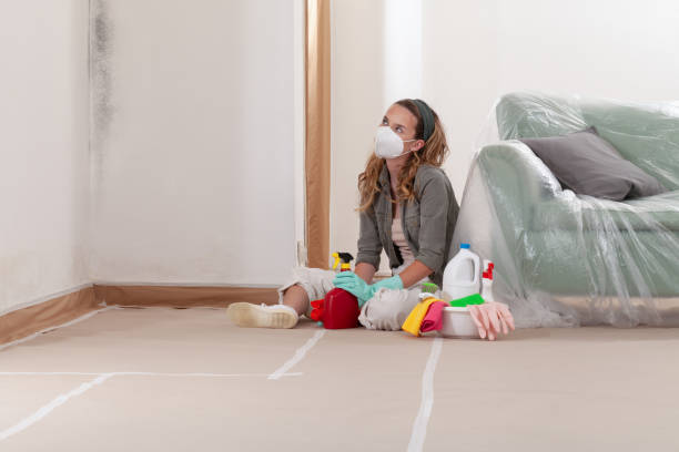 Reliable Attic Mold Removal contractor in Columbia, KY by WQB Mold Removal